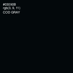 #03090B - Cod Gray Color Image